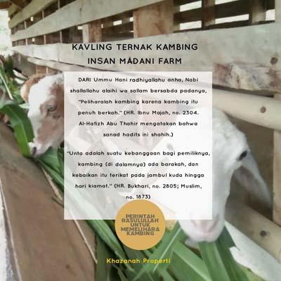 tanah kavling kambing 2