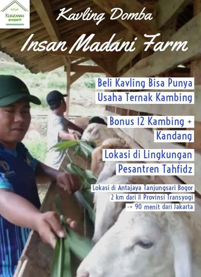 tanah kavling kambing 4