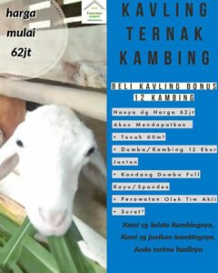 tanah kavling kambing 5